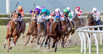 あなたは競馬に生きることができます