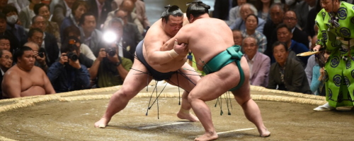 相撲はライブベッティングに最適なスポーツです